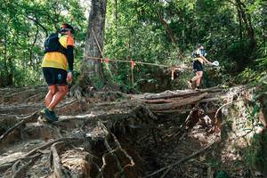 BIB: 
                            <button type="button" onclick="openModal(27799943)" class="btn btn-primary btn-sm float-right btn-popup" data-toggle="modal" data-target=".modal-high-quality">
                        <i class="fas fa-shopping-cart"></i> Add to Cart
                    </button>
                                            <button type="button" onclick="isThisMe(27799943, true)" class="btn btn-success btn-sm float-right btn-popup btn-isme hidden" data-toggle="tooltip" data-placement="bottom" title="นี่คือรูปของคุณใช่ไหม คลิกที่นี่เพื่อเอาเข้าอัลบั้ม">
                        <i class="fas fa-plus"></i> Add to album
                    </button>
                    <button type="button" onclick="isThisMe(27799943, false)" class="btn btn-warning btn-sm float-right btn-popup btn-isnotme hidden">
                        <i class="fas fa-ban"></i> Remove from album
                    </button>